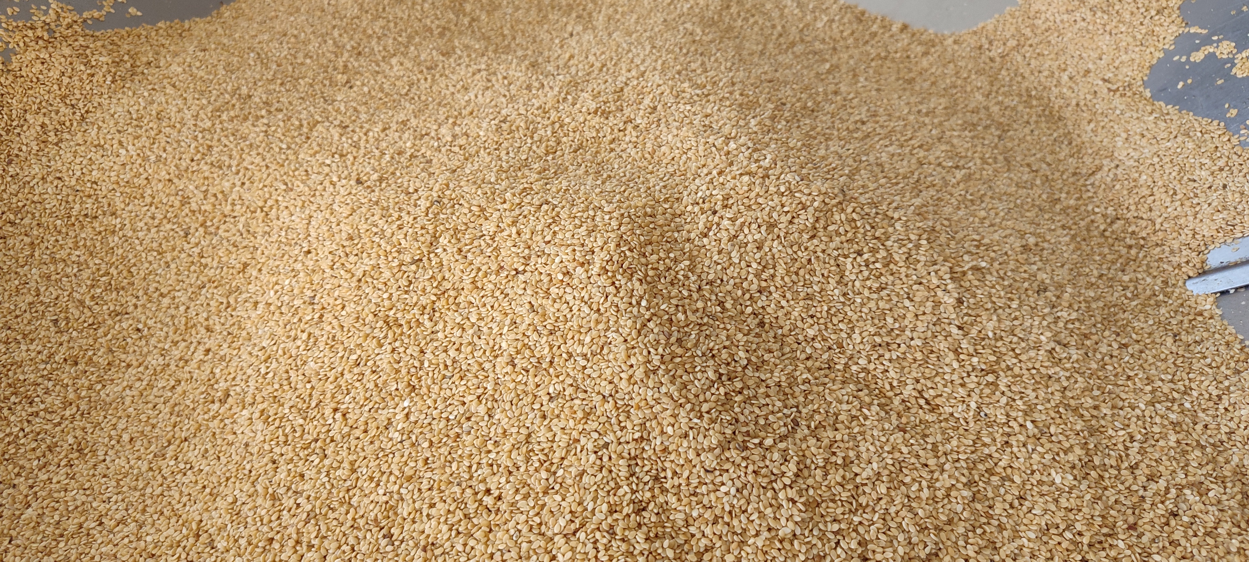 کنجد دو آتیشه یک کیلویی